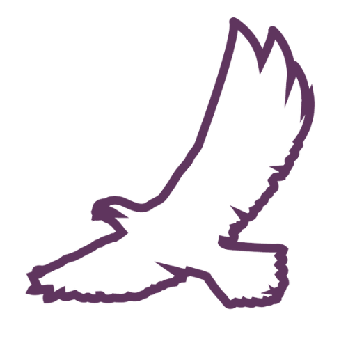flying-eagle-icon-purple